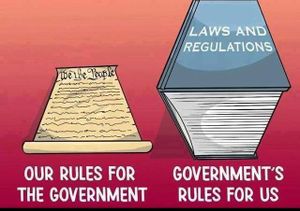 Constitution-droitpositif.jpg